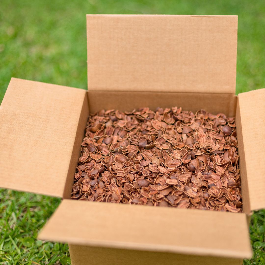 Pecan Shells - 17 lb Box (Just Shells)